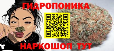 тгк Краснодар