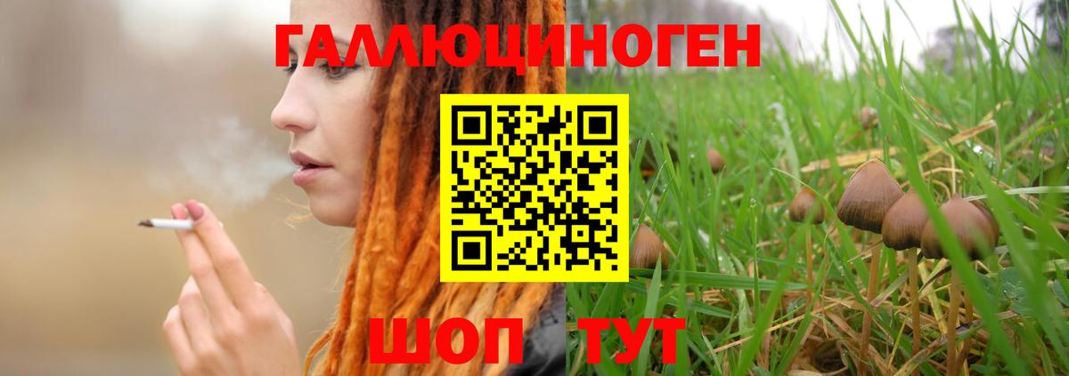 Галлюциногенные грибы Magic Shrooms  Вход с VPN  Галлюциногенные грибы GOLDEN TEACHER  где купить   Кашира 