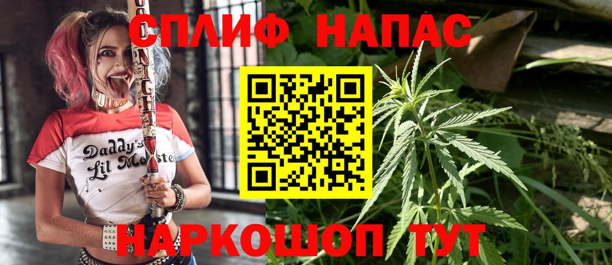Марихуана планчик  Канабис марихуана  Кашира  Шишки марихуана семена  Канабис тримм  Вход с VPN 